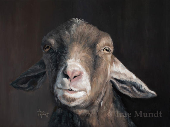 Billy Oil painting of Goat. Portrait of friendly goat with brown and tan fur and pink nose. I met this goat in at a Farm. 