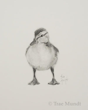 Baby Duck