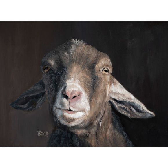 Billy the goat by artist Trae Mundt. Realistic oil painting of an adorable goat. Shades of taupe, tan, brown, gold, gray, white and pink are the colors painted in his fur and on his nose. 
