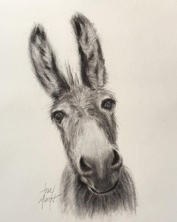 Donkey Drawing in Charcoal Portrait by Trae Mundt.