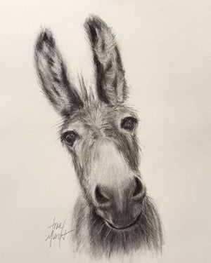 Drawing a Donkey