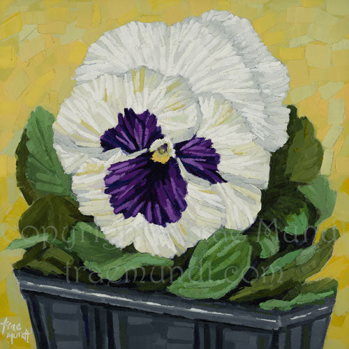 Peek-a-boo oil painting by artist Trae Mundt. White and purple pansy surrounded by green leaves planted in gray rectangular planter. Background in colors of green and golden yellow.