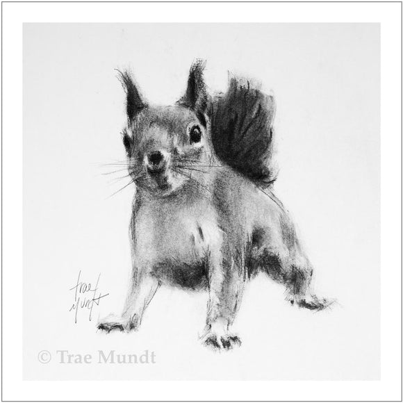 Pi-Rat the squirrel charcoal art print by Trae Mundt.