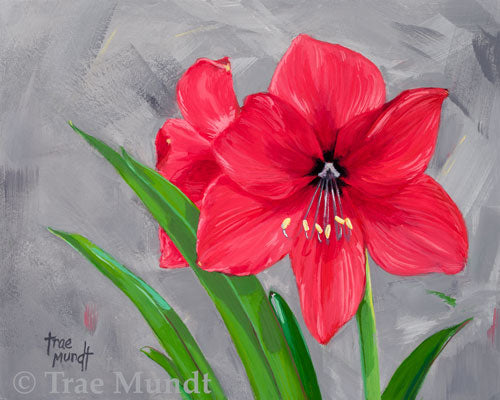 Power - Red Amaryllis Acrylic Painting with Gray Background by artist Trae Mundt. 