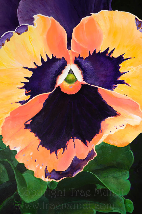 All Smiles - Orange, Orange-Yellow and Purple Pansy by Trae Mundt.