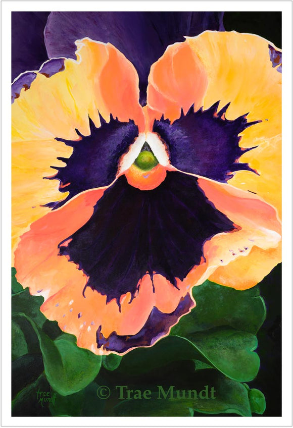 All Smiles - Vibrant and Bold Orange, Orange-Yellow, and Purple Pansy - Art Print by Trae Mundt.