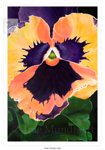 All Smiles - Vibrant and Bold Orange, Orange-Yellow, and Purple Pansy - Limited Edition Art Print by Trae Mundt.