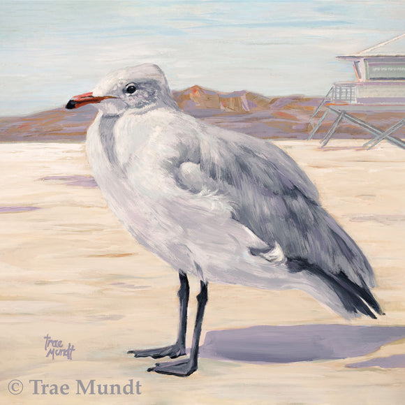 Beach Buddy - Seagull at Beach Standing in the Sand Acrylic Painting 12x12 inches on panel with walnut floater frame by Trae Mundt.