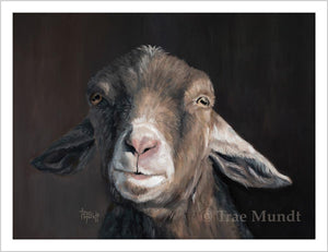 Billy Oil painting of Goat. Portrait of friendly goat with brown and tan fur and pink nose. I met this goat in at a Farm.