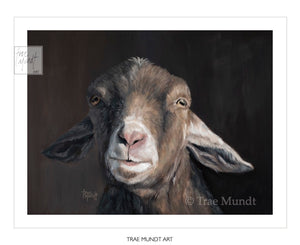 Billy - Tan and Brown Goat with Pink Nose with Dark Brown Background - Limited Edition Art Print by Trae Mundt.