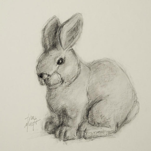 Ash - Bunny Statue Portrait - Charcoal and Graphite Drawing by artist Trae Mundt.
