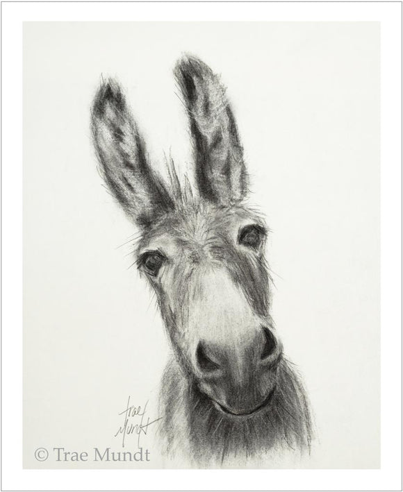 Dinky - Donkey Charcoal Drawing - Art Print