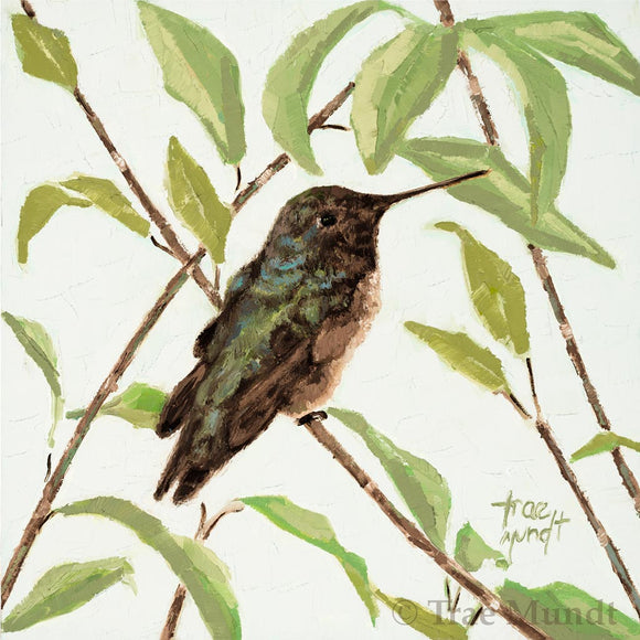 Early to Rise - Brown and Green Hummingbird Resting on a Branch with Green Leaves against a very Light Green Textured Wall by Trae Mundt.