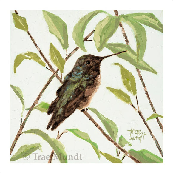 Early to Rise - Brown and Green Hummingbird Resting on a Branch with Green Leaves against a very Light Green Textured Wall Giclee Art Print by Trae Mundt.