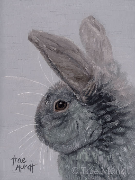 Fluffy - Gray Rabbit with Big Ears and Striking Brown Eyes with Background of Gray by Trae Mundt.