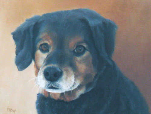 Freddy - Beagle Terrier Mix - Oil Painting on Canvas by Trae Mundt.