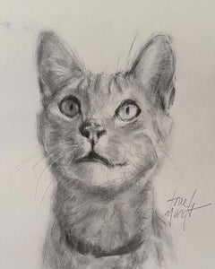 Freida - Cat Charcoal Drawing on Paper by Trae Mundt.