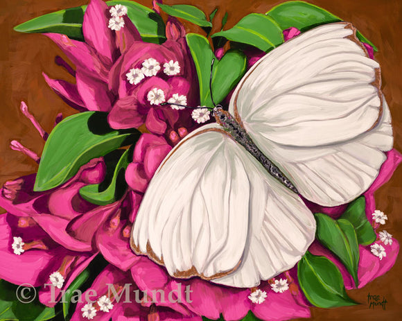 Gentility - White Southern Butterfly Gracefully Resting Atop Pink Bougainvillea Bracts with White Flowers and Green Leaves with Rich Brown Background by artist Trae Mundt.