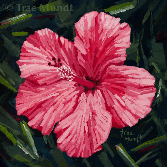 Gorgeous - Pink-Red Hibiscus Flower with Background of Green, Black Dark Gray Foliage by Trae Mundt.