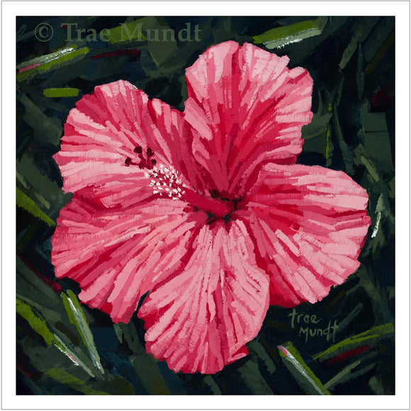 Gorgeous - Pink-Red Hibiscus Flower with Background of Green, Black Dark Gray Foliage by Trae Mundt.