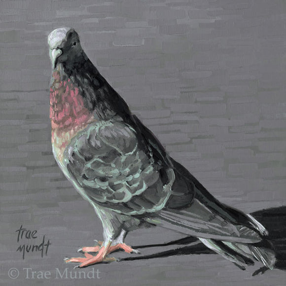 Hanging Out - Gray Pigeon with Pink and Pale Green Feathers with Gray Textured Background painted by Trae Mundt.