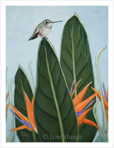 Close-up of Harold Hummingbird Painting in Oil by artist Trae Mundt. Portrait of Hummingbird sitting on large bird of paradise plant leaf. Background light blue