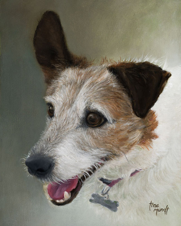 Lucy - Jack Russell Terrier - Oil Painting on Canvas by Trae Mundt.