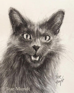 Luther Bandross - Cat Portrait - Charcoal Drawing by Trae Mundt