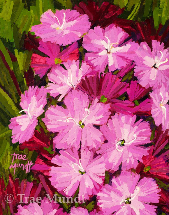 Magenta - Pink Dianthus - Garden Flowers with Warm Green and Rich Burgundy Background Art