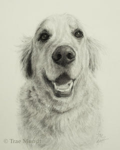 Mija - Dog Portrait - Graphite and Charcoal Drawing by Trae Mundt.