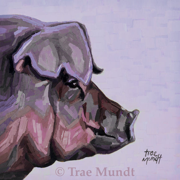 Milford - Profile Portrait of Pig Painted in Brushstrokes of Purple, Gray, Taupe, Rose, Pale Pink, and Black Oil Painting 8x8 inches  on panel with black floater frame by Trae Mundt.