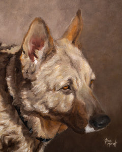 Misty - German Shepherd - Oil Painting on Canvas by Trae Mundt.