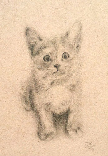 Neko - Kitten - Pencil Drawing on Paper by Trae Mundt.