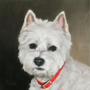 Opal - West Highland White Terrier - Oil Painting on Canvas by Trae Mundt.