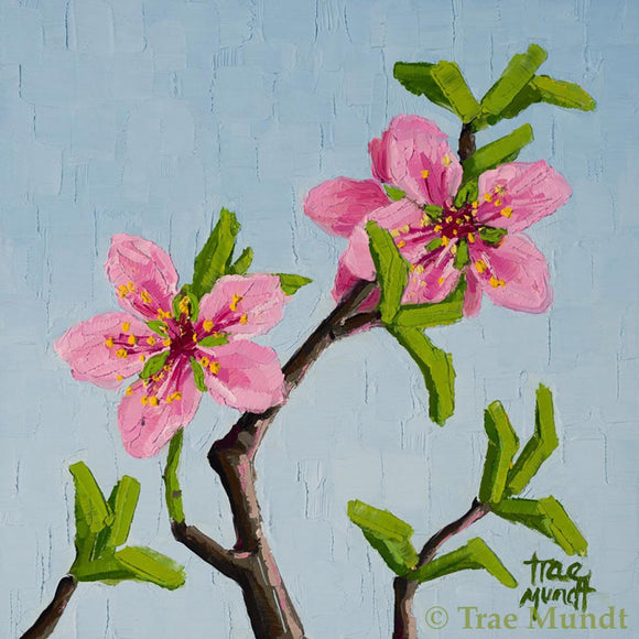 Peachy Keen - Pink-Peach Flowers with Green Leaves and Brown Stems with Subtle Pale Blue Textured Background by Trae Mundt.