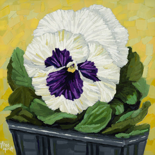 Peek-a-boo - White and Purple Pansy with Chartreuse and Lime Green Background Oil Painting 8x8 inches on panel with white floater frame by Trae Mundt.