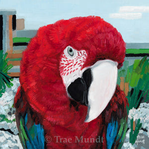 Photinia oil painting by artist Trae Mundt. Portrait of Macaw parrot with beautiful red feathers and bright blue and green feathers. Background surrounded by white flowers in tropical city.