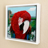 Photinia - Macaw Parrot Oil Painting 6x6 inches on panel with white floater frame by Trae Mundt.