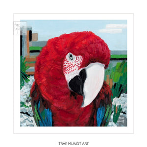 Photinia oil painting by artist Trae Mundt. Portrait of Macaw parrot with beautiful red feathers and bright blue and green feathers. Background surrounded by white flowers in tropical city.