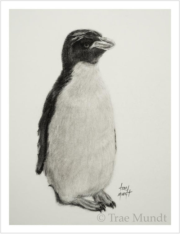 Pop-Tart - Macaroni Penguin Charcoal Drawing - Art Print