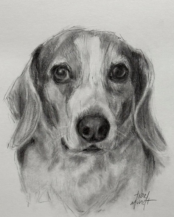 Poppy - Dog Portrait - Charcoal Drawing by Trae Mundt.