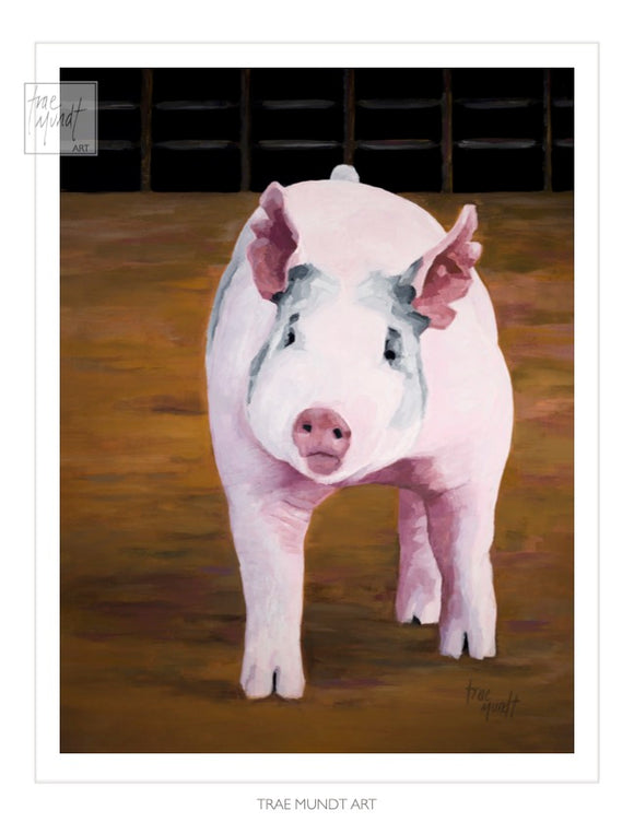 PrePretty and Pink - Pink Pig Standing in a Show Ring - Art Print by Trae Mundt.