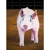 Pretty and Pink - Pink Pig Standing in a Show Ring - Art Print by Trae Mundt.