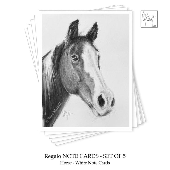 Regalo - Horse Portrait Drawing Note Cards by Trae Mundt.
