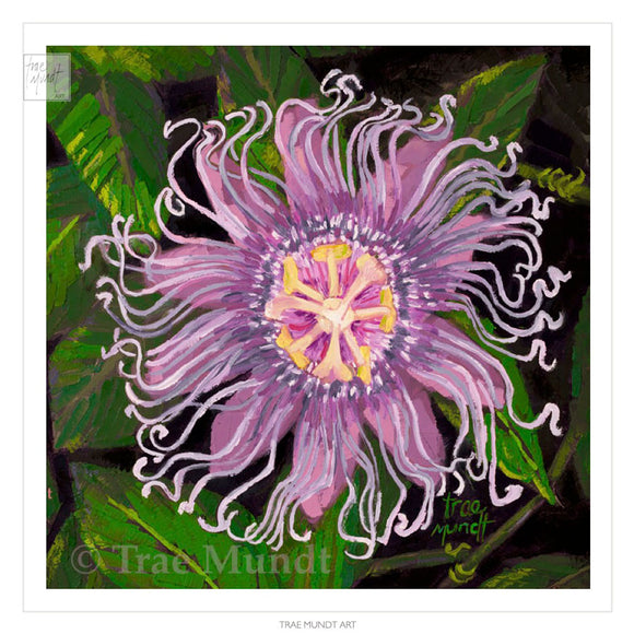 Royalty -  Purple Passionflower Perennial Climbing Tendril Bearing Vine with Colorful Green Leaves - Limited Edition Giclee Art Print
