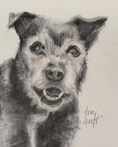 Scruffy - Dog Portrait Charcoal drawing by Trae Mundt.