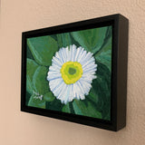 Spring Snow - White Bellis Daisy Oil Painting 5x7x.125 inches on panel with black floater frame by Trae Mundt. Side View.