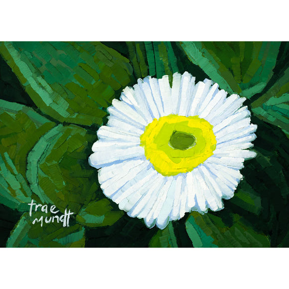 Spring Snow - White Bellis Daisy Oil Painting 5x7x.125 inches on panel with black floater frame by Trae Mundt.