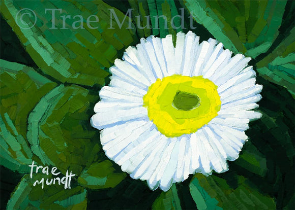 Spring Snow - White Bellis Daisy Oil Painting byy artist Trae Mundt.