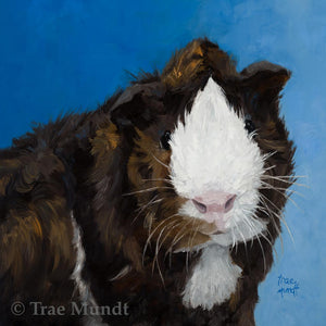 Strike A Pose - Abyssinian - Brown, Black, Red, and White Guinea Pig by Trae Mundt.